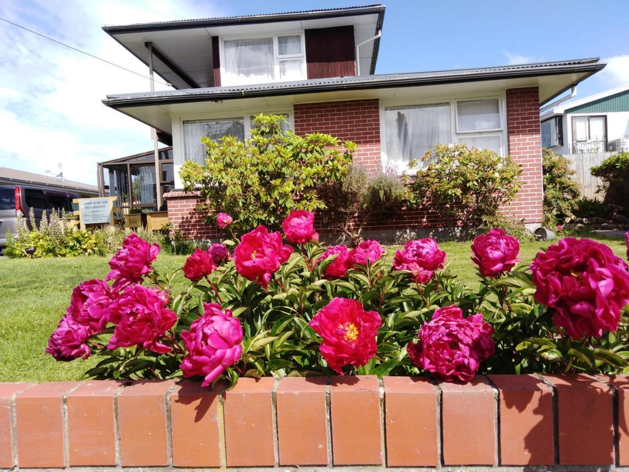 Airport Silver Fern Accommodation Christchurch Esterno foto